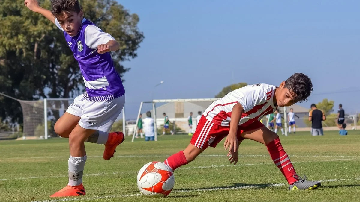 布莱顿考虑续约维尔特曼：后防分工与阵容平衡观察